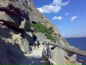 Надія Теслевич фотография #10 (источник - https://vk.com/id11904344)