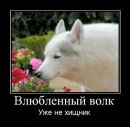 Фотография Седовой Юлии