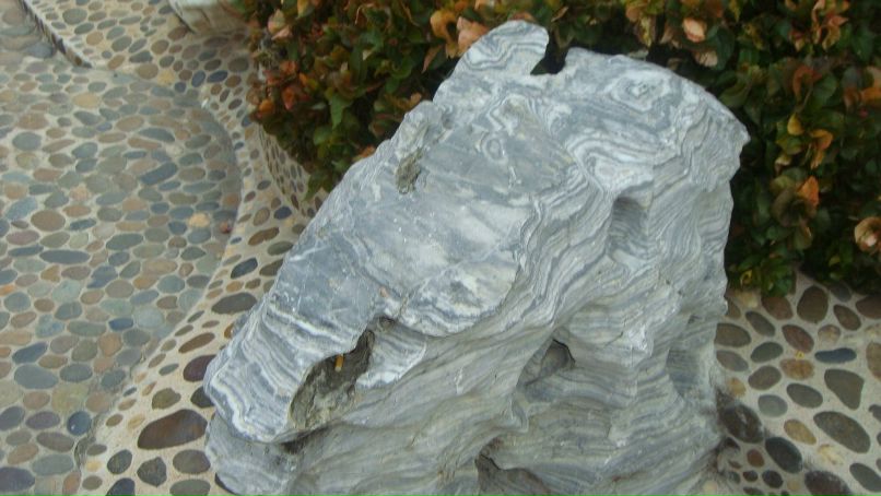 Сергей Николаев фотография #42