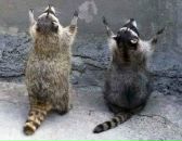 Ірина Червінська фотография #30 (источник - https://vk.com/id27541792)