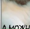 Мар'яна Кушнір фотография #23 (источник - https://vk.com/id46121172)