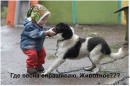 Илья Дьяченко фотография #27 (источник - https://vk.com/id52228312)