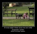 Вікочка Шелемба фотография #40 (источник - https://vk.com/id70260429)