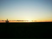 Алексей Адмиралов фотография #44 (источник - https://vk.com/id2655545)