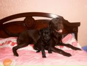 Фотография Высоцкой Ольги