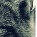 Пєтя Сверба фотография #33 (источник - https://vk.com/id19829246)