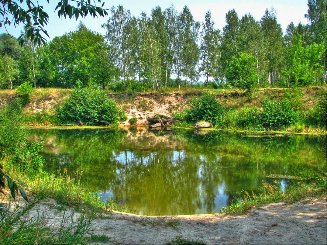 Александр Стеценко фотография #21