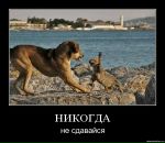 Фотография Прекрасной Елены