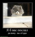 Фотография Усоскина Александра