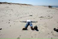 Фотография Роленко Ольги