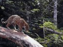 Ростік Мельник фотография #2 (источник - https://vk.com/id70649411)