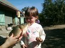 Андрій Гнаповський фотография #6 (источник - https://vk.com/id145306681)