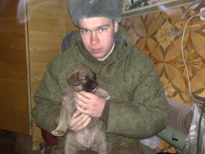 Степан Сигарев фотография #38