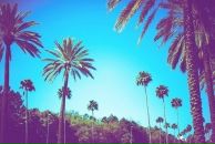 Фотография Смирнов Марк