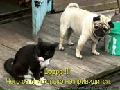 Фотография Видановой Олеси