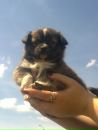 Іра Романюк фотография #4 (источник - https://vk.com/id53294041)