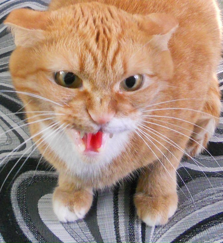 Дмитрий Буторин фотография #30