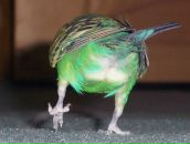 Фотография Шепардовой Саши