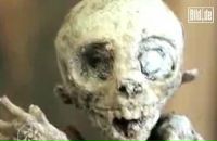 Фотография Абакумова Павла