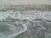 Dimon__ Кукал фотография #36 (источник - https://vk.com/id72558537)