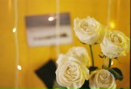 Фотография Ордяковой Алены