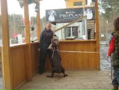 Фотография Шмелева Александра