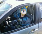 Фотография Кириллова Никиты