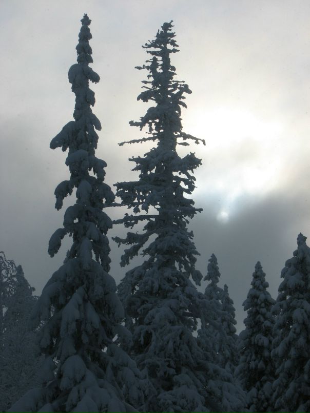 Антон Городилов фотография #50