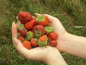 Фотография Горловой Оли