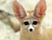 Маша Щепинова фотография #17 (источник - https://vk.com/id930557)