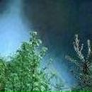 Анна Петрова фотография #35 (источник - https://vk.com/id45188780)