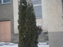 Богдана Лозінська фотография #9 (источник - https://vk.com/id160816570)