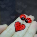 Фотография Бородавкиной Ксенечки