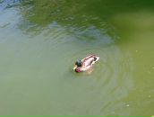 Міша Тригуб фотография #48 (источник - https://vk.com/id33896452)