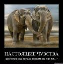 Ольга Вередін фотография #16 (источник - https://vk.com/id120300412)