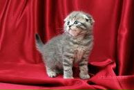 Вадім Бонгар фотография #11 (источник - https://vk.com/id72563271)