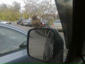 Фотография Абрамова Егора