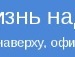 Prikalist ^_^ фотография #3 (источник - https://vk.com/id137254111)
