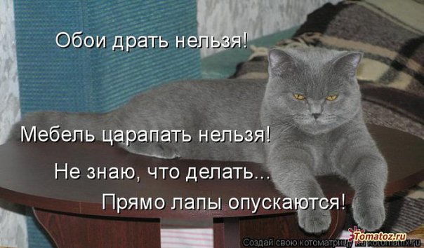 Дмитрий Симаков фото №5