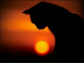 Фотография Даниловой Екатерины