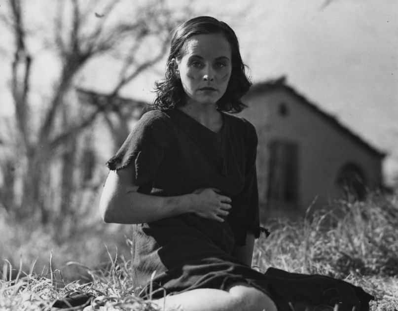 Елена Карнаш фотография #50