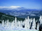 Фотография Даниловой Ирины