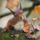 Фотография Шевель Юлии