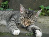 Фотография Мельникова Андрея