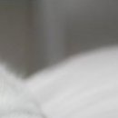 Наталія Олійник фотография #23 (источник - https://vk.com/id85387598)