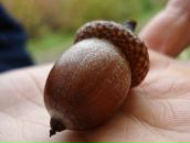 Юля Філь фотография #13 (источник - https://vk.com/id1614437)