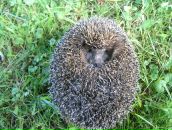 Фотография Gr Tatyana