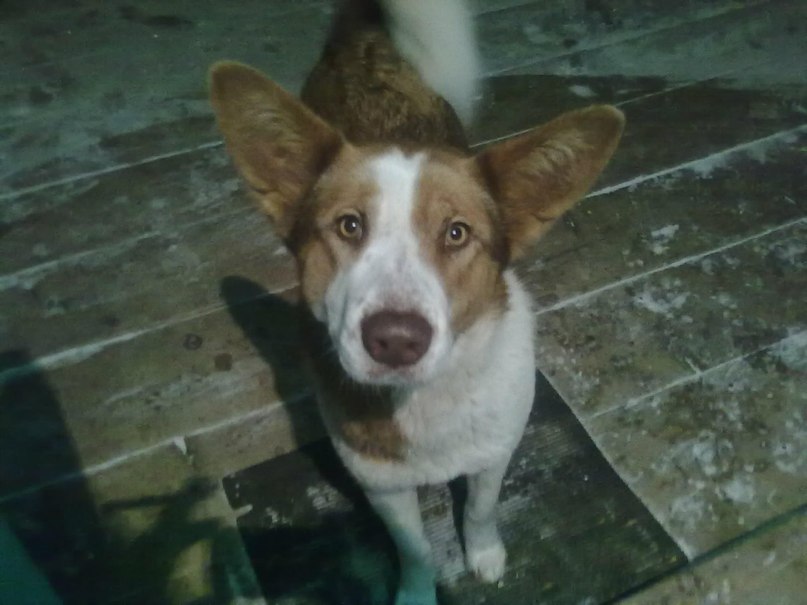 Дмитрий Плюснин фотография #46