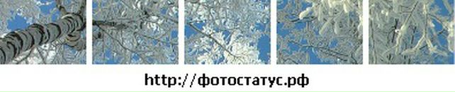 Олена Кошіль фотография #28 (источник - https://vk.com/id66648342)