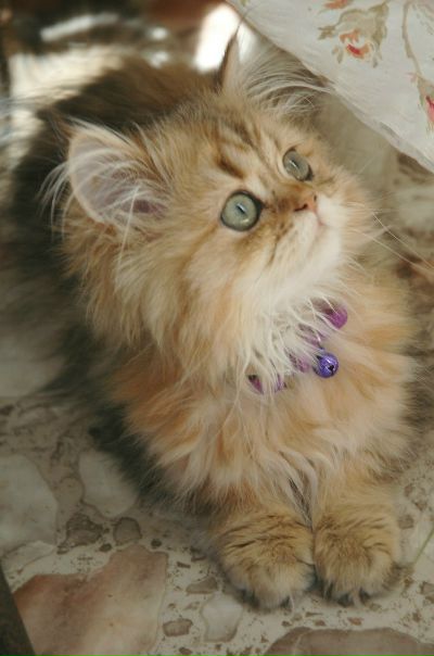 Eric Conde фото №25